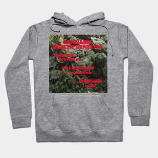 Cannabis health benefits: diabetes prevention, inflammation reduction, pressure relief. Hoodie